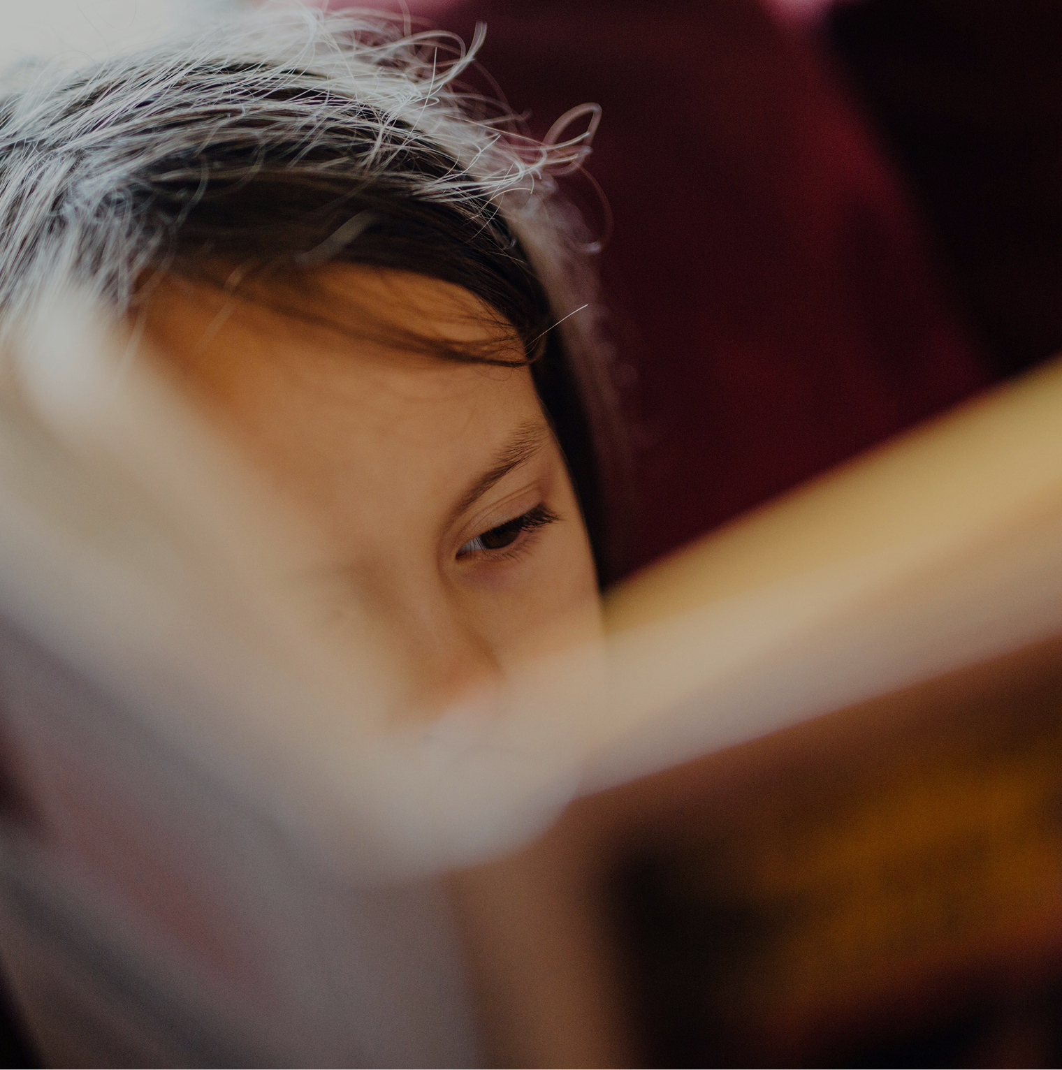 Right Brain Education (RBE)